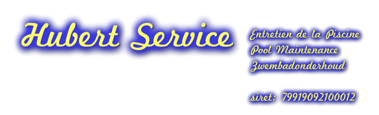 Hubert Service, Swimming Pool service and Security Control Copy